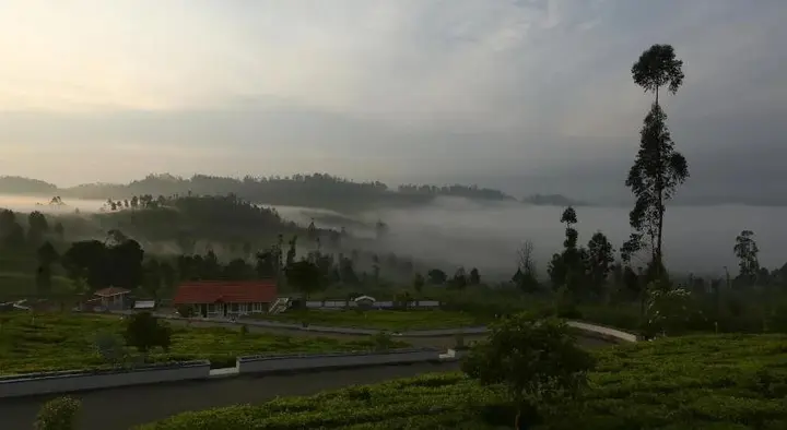 Ути: Western Valley Resorts