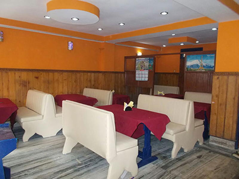 Гангток: Hotel Snow Lion