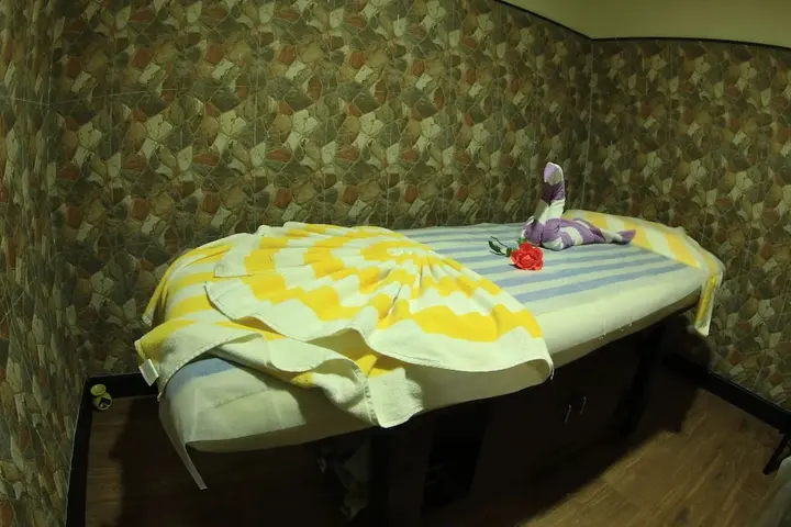 Манали: Hotel Piccadily Manali