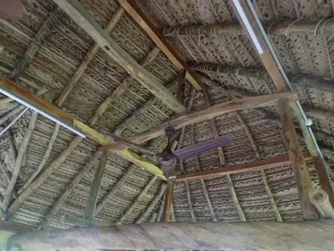 Пунди: Paddy Homestay