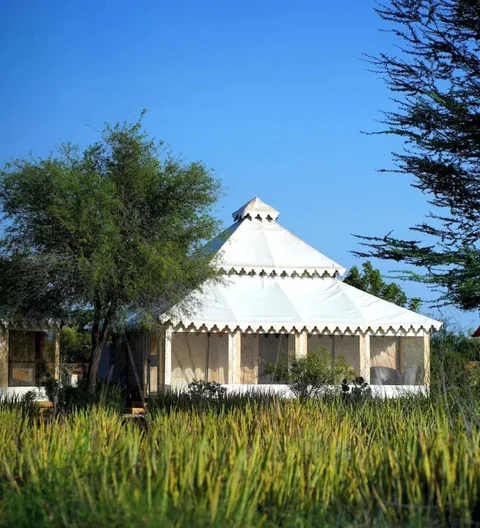 Каной: Desert Springs Resorts