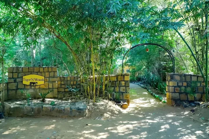 Турья: Tiger N Woods Resort