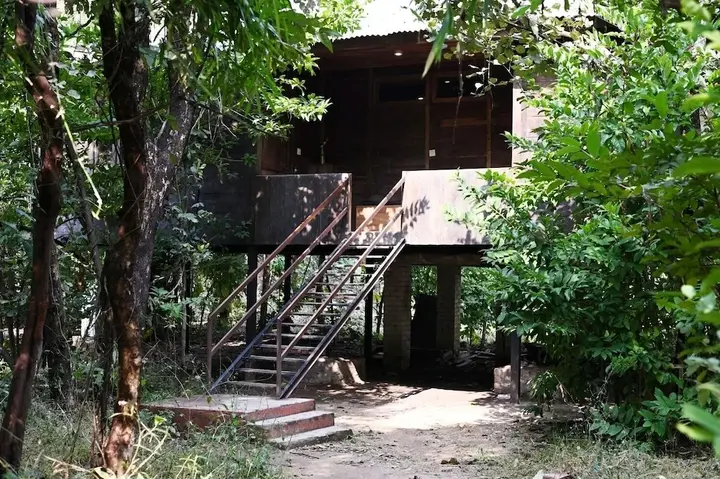 Турья: Tiger N Woods Resort