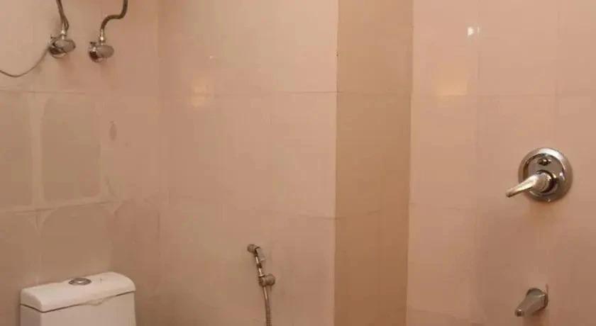 Манали: Hotel RR Villa