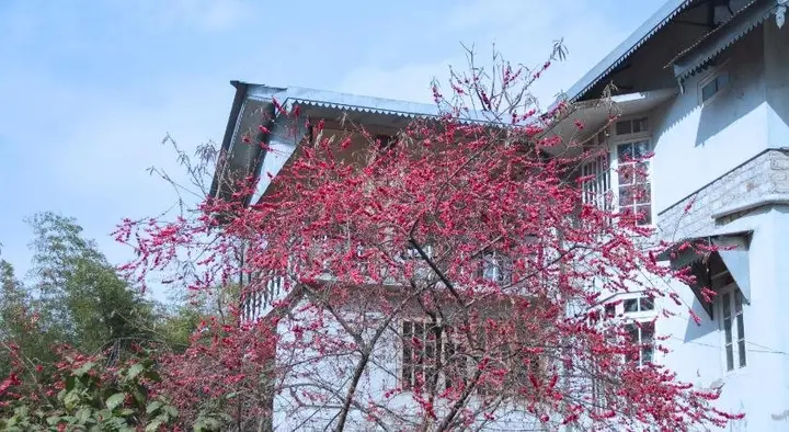 Гангток: The Mazong Hotel