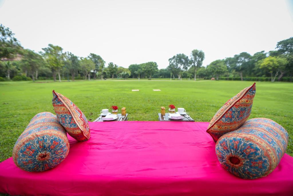 Джодхпур: WelcomHeritage Bal Samand Lake Palace