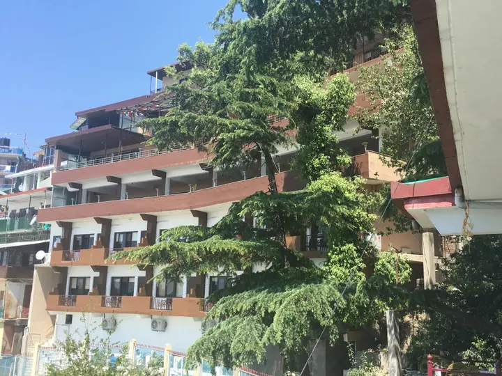 Дармсала: Norbu House