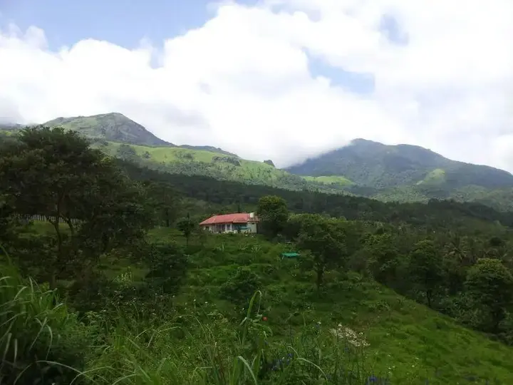 Велламундра: Wayanad Adventures Home Stay