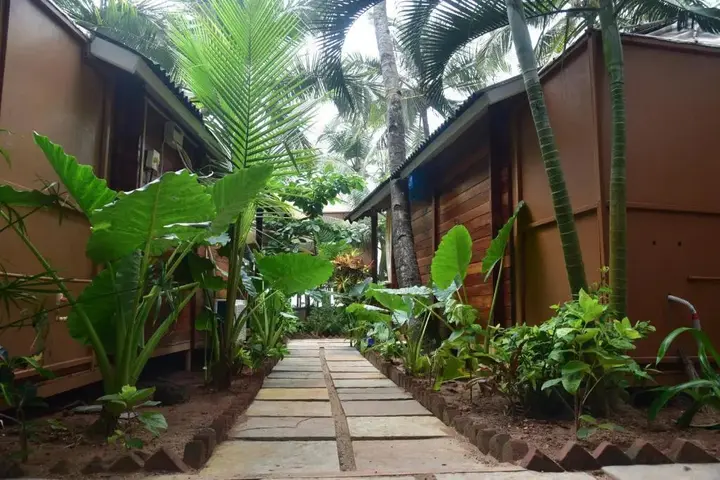 Южный Гоа: Jardim A Mar