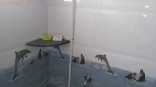 Бангалор: SR Comfort
