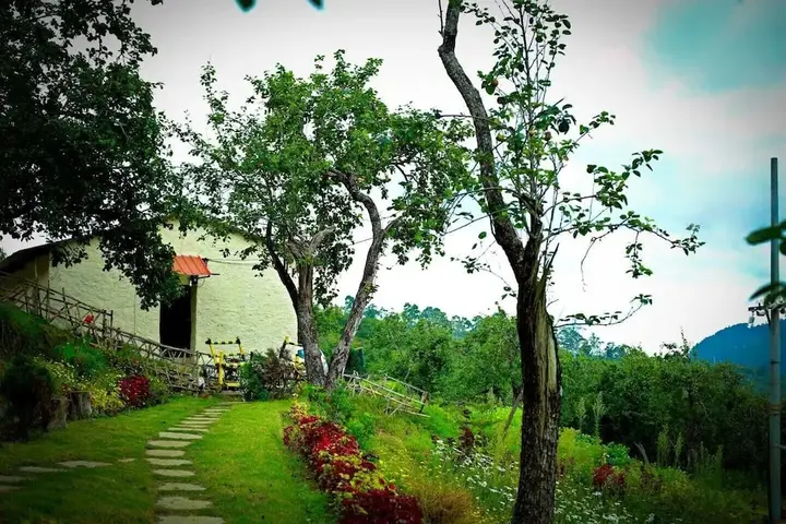 Кодайканал: The Pear County