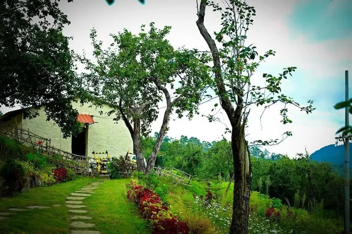 Кодайканал: The Pear County