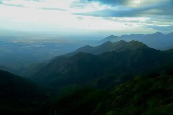 Кодайканал: The Pear County