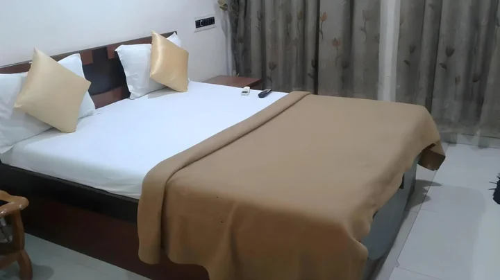 Ахмедабад: hotel magic palace