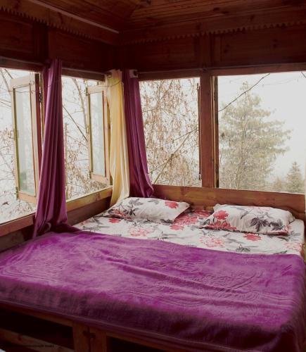 Касоль: Junglebook Homestay