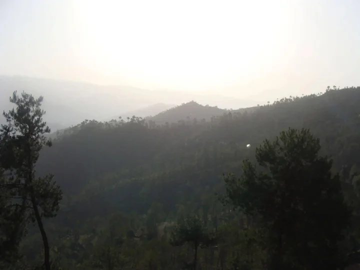 Раникхет: Woodsvilla Residency Ranikhet