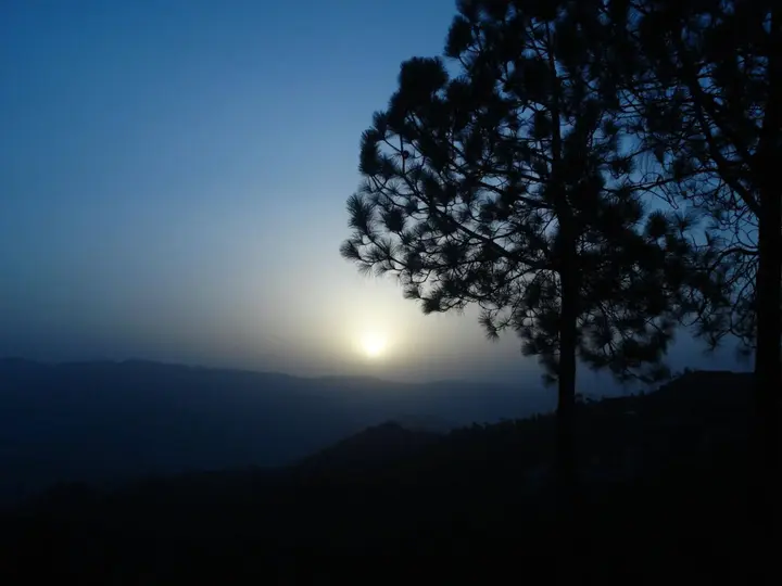 Раникхет: Woodsvilla Residency Ranikhet