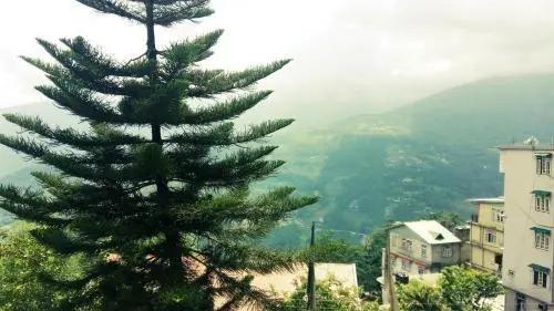 Гангток: Hotel Kai Fu Khim Residency