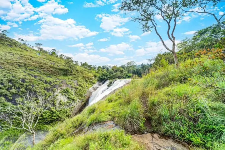Палани: Zacs Valley Resort & Wellness Retreat Kodaikanal