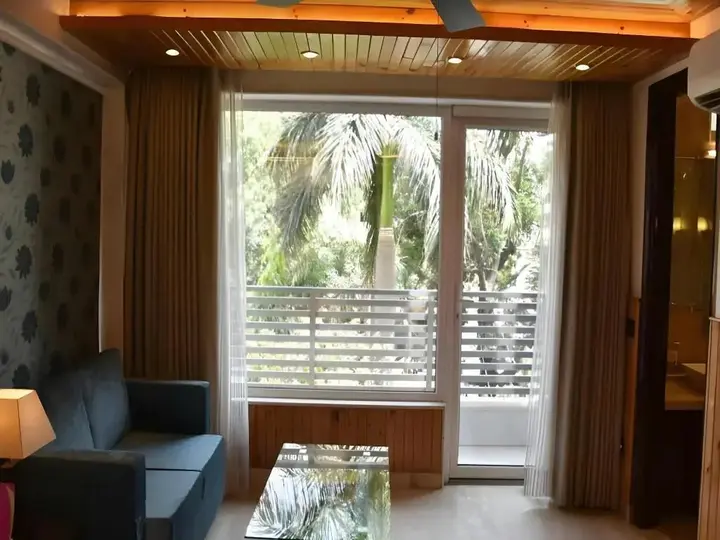 Нью-Дели: Hotel Wood Castle Grand