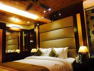 Нью-Дели: Hotel Wood Castle Grand