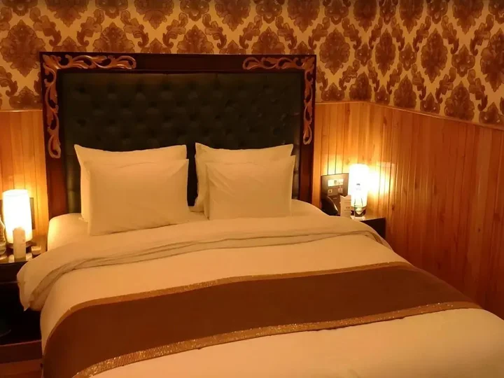 Нью-Дели: Hotel Wood Castle Grand