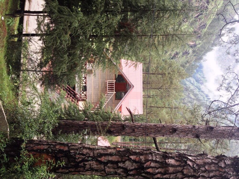 Parvati Woods Cottage — фото 4