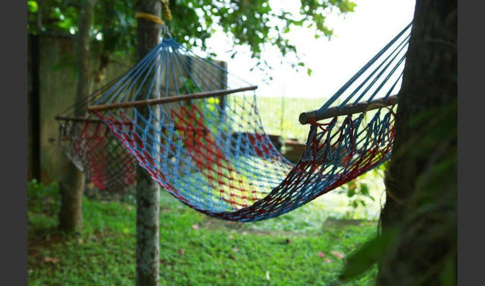 Cherthala: Taamara