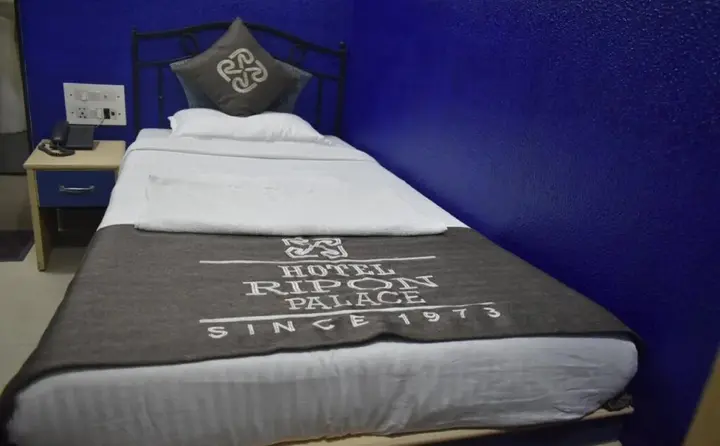 Мумбаи: Hotel Ripon Palace