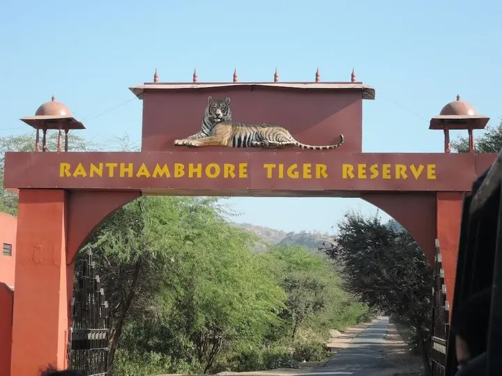 Савай-Мадхопур: Ranthambore jungle cave