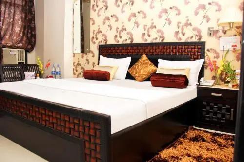 Узел Хануманангарх: Hotel Vickys Plaza