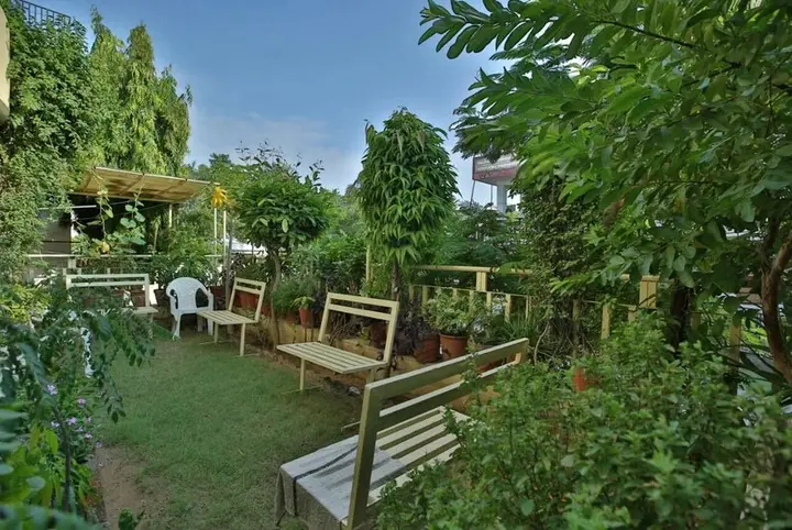 Джайпур: Hotel Kala Residency