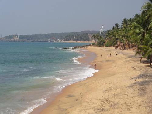 Ковалам: Padme Ayurveda Resort
