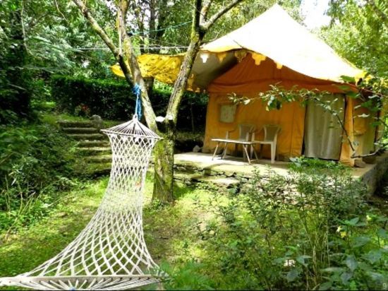 Manali Treehouse Cottages — фото 6