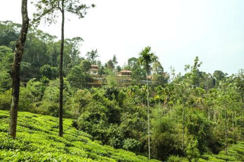 Султан-Батери: Green Garden Holiday Home Wayanad