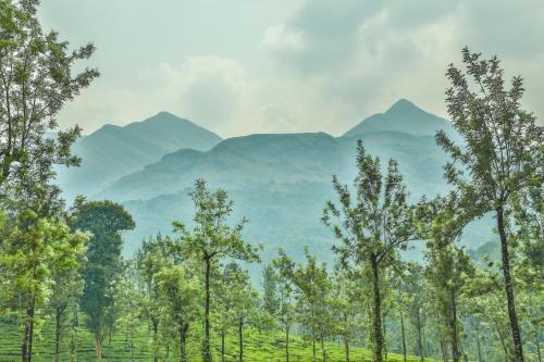 Султан-Батери: Green Garden Holiday Home Wayanad