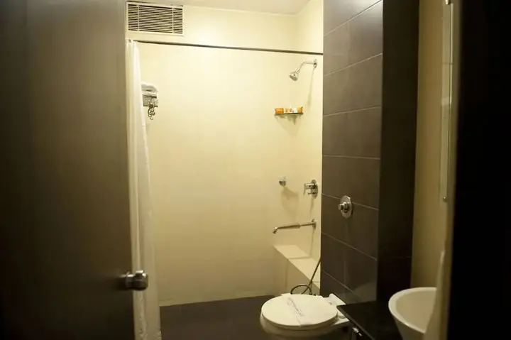 Майсур: Hotel Siddharta