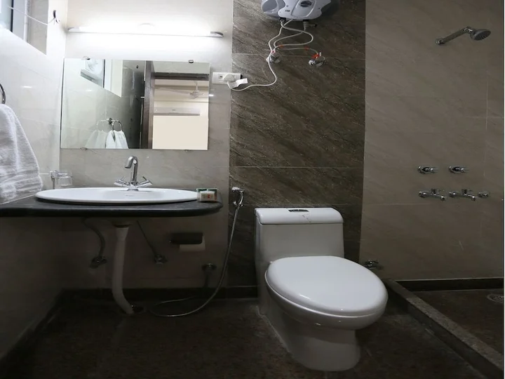 Нойда: Hotel Petals Inn