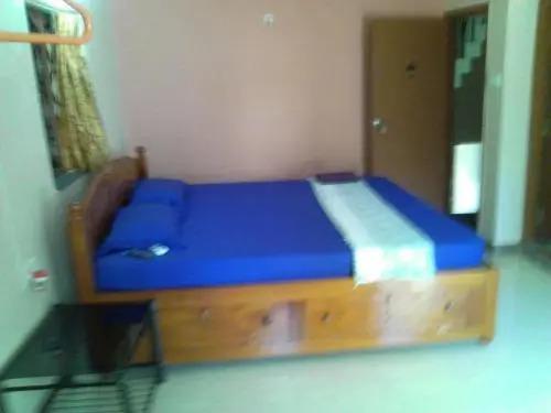 Панаджи: Menezes House