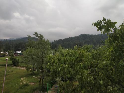 Пахалгам: Himalaya Discover Resort