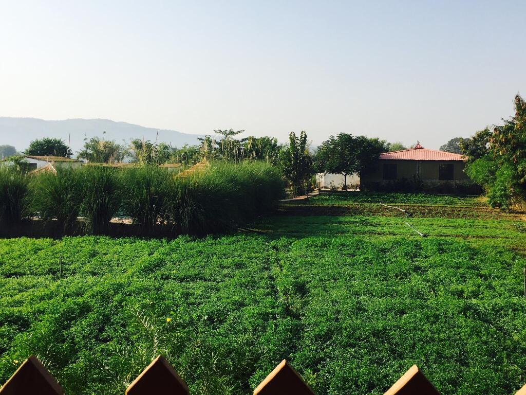 Савай-Мадхопур: Maa Ashapura Resort