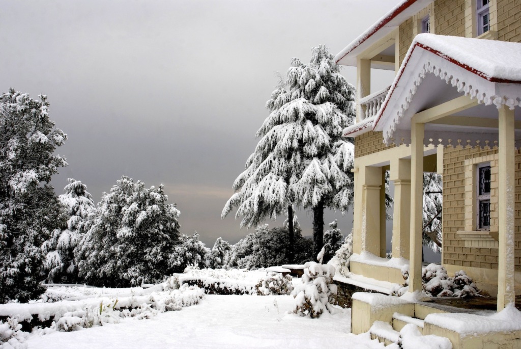 Альмора: Tree of Life Grand Oak Manor, Binsar Wildlife Sanctuary