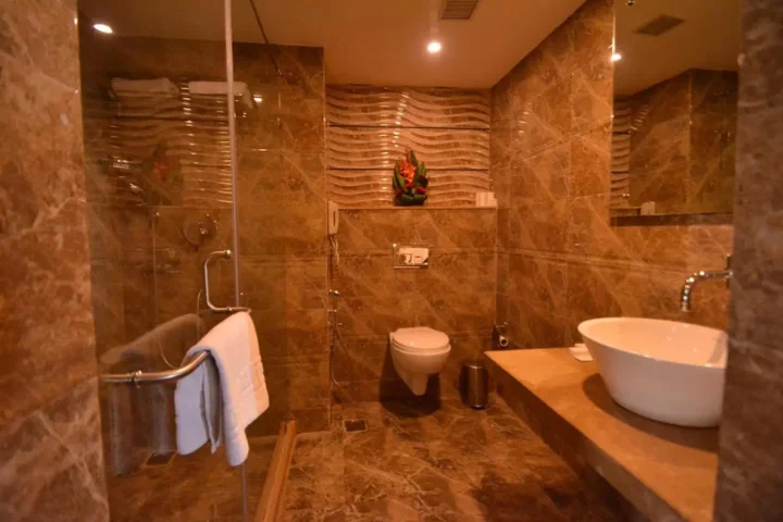 Джайпур: Hotel Park Ocean