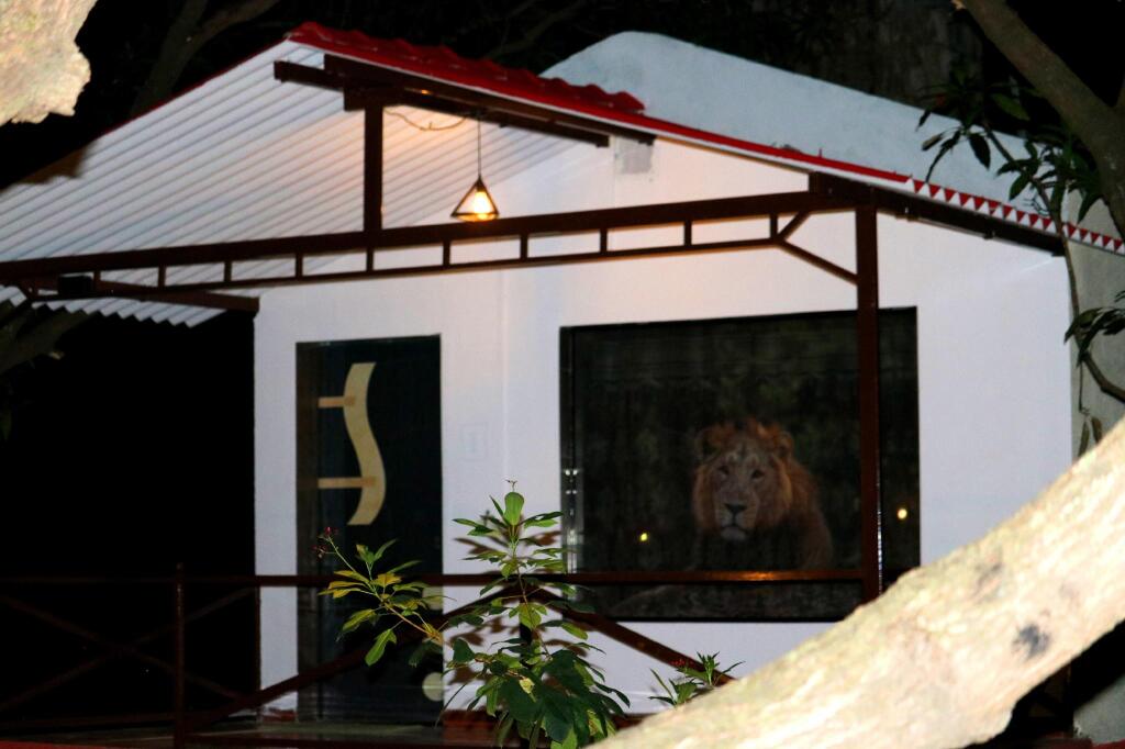 Сазан: The Wilds Villa Gir Resort with Swimming Pool