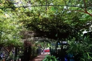Пудучерри: Green's Guesthouse