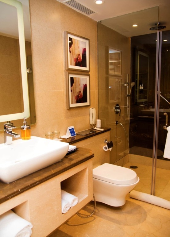 Агра: Grand Mercure Agra