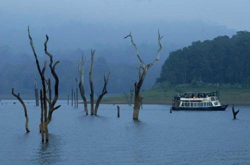 Кумили: Thekkady Woods