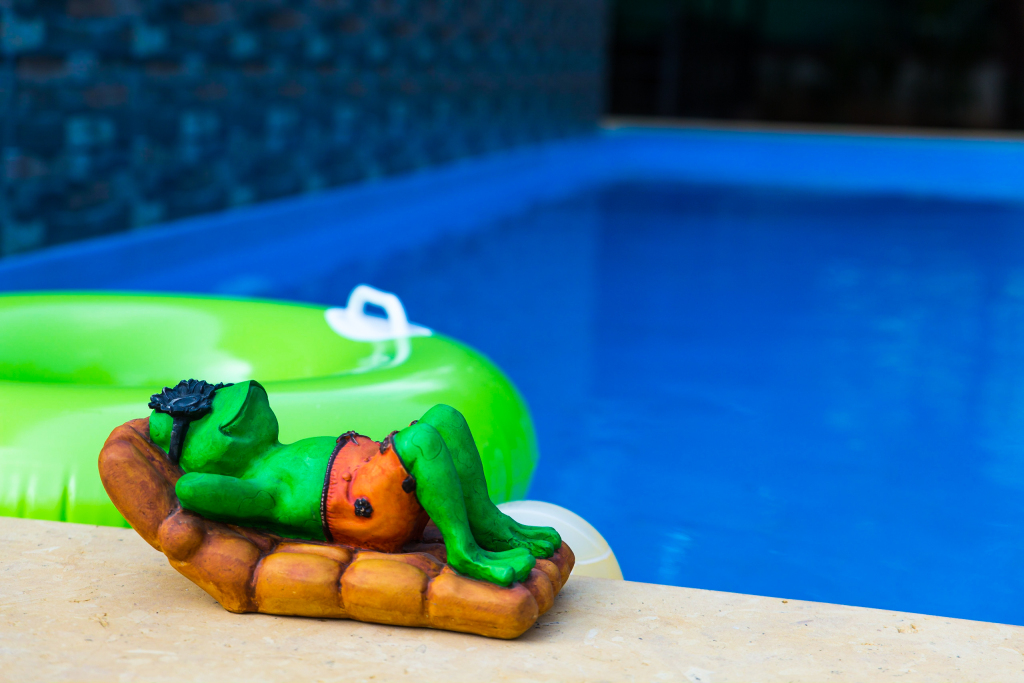 Гостевой Дом Lazy Frog Goa — фото 1