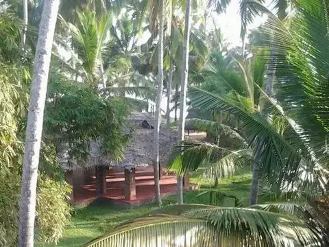 Варкала: Mektoub Beach Resort