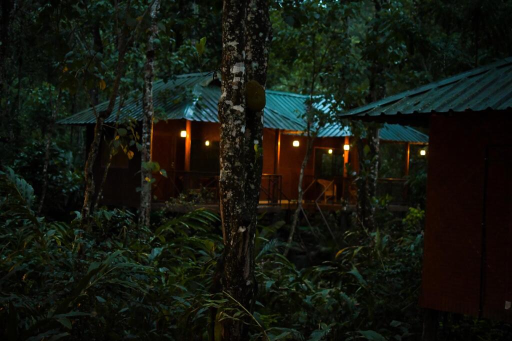 Куттикканам: Monsoon Retreats